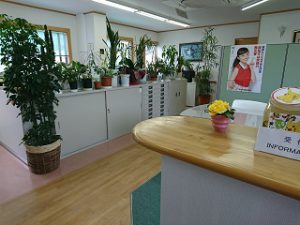 西部入り口‗観葉植物