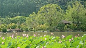 白水阿弥陀堂と橋