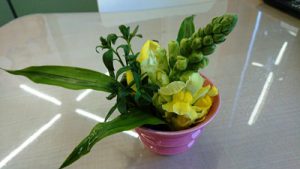 いわき西部事務所のお花　金魚草