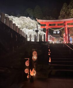 いわき市小川町諏訪神社の夜桜